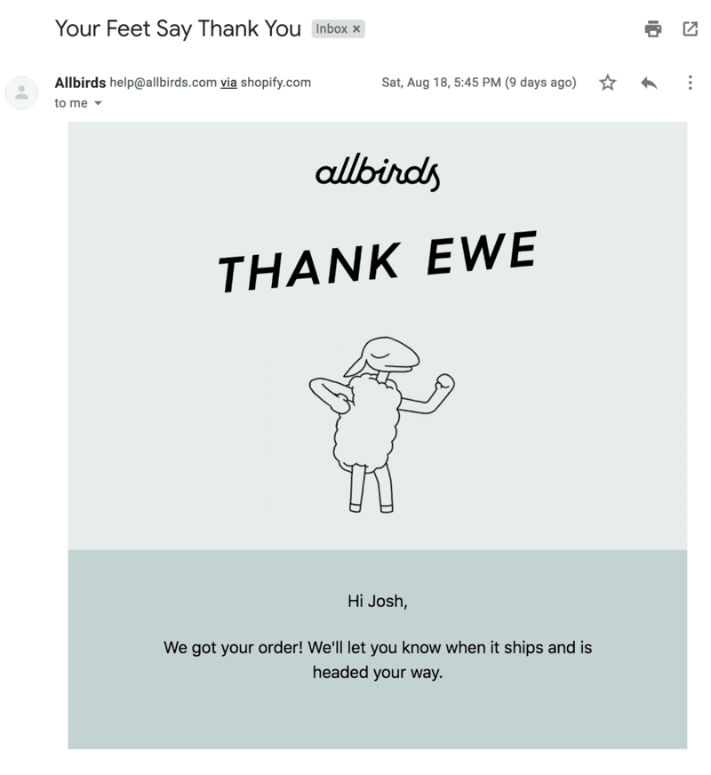 allbirds-thank-you-email