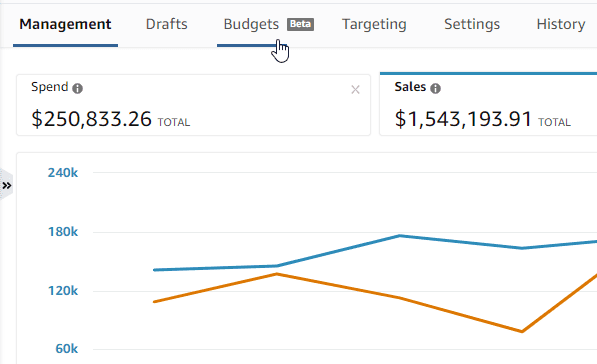 amazon-budget