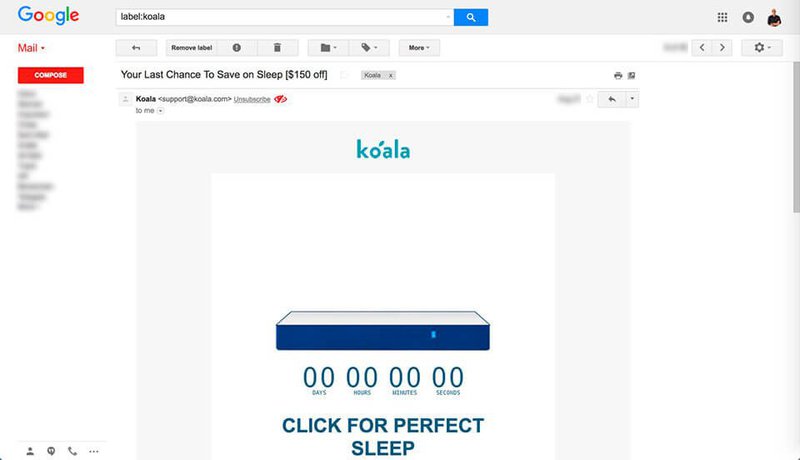 koala-email-9