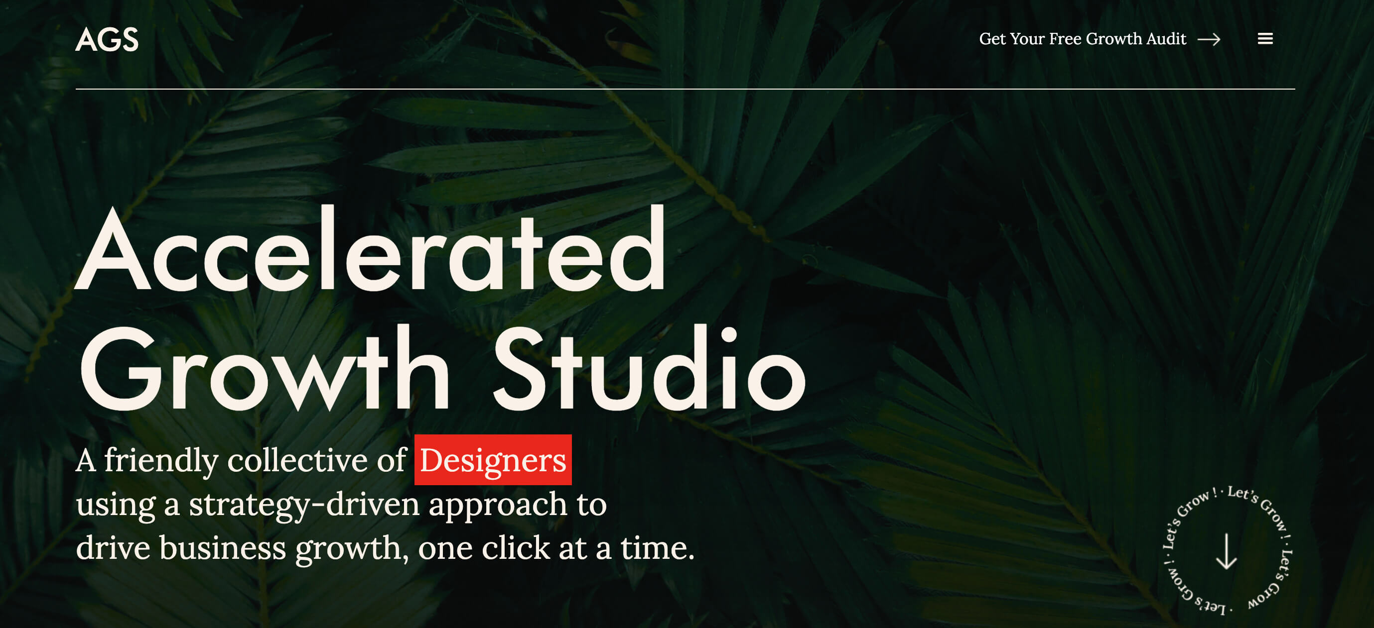Accelerated Growth Studio