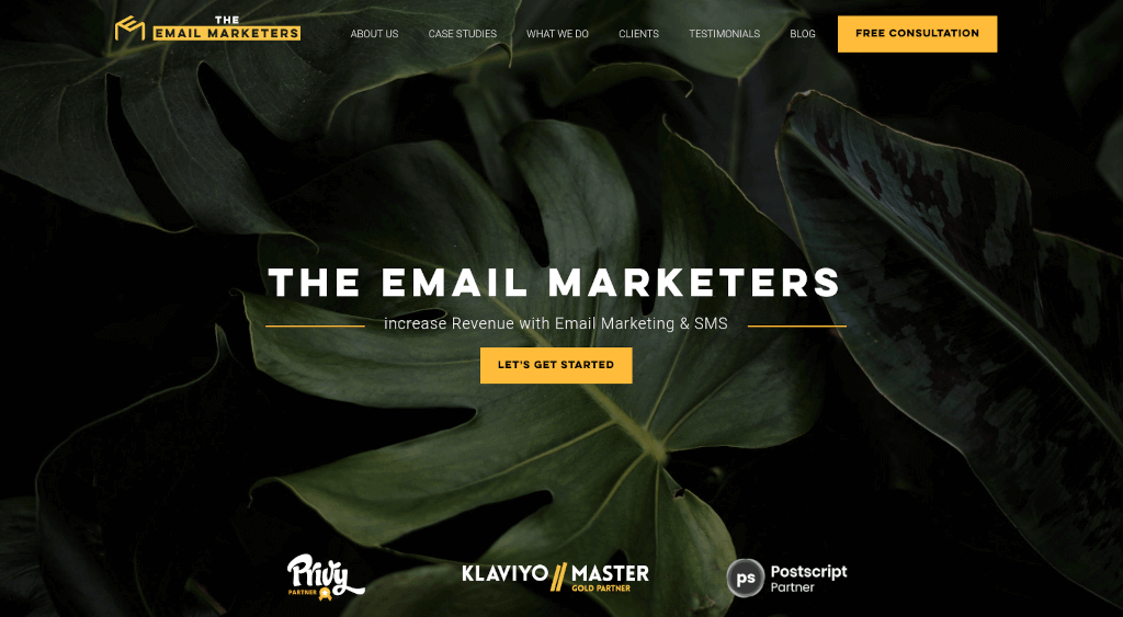 a screenshot of The Email Marketers website