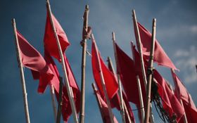 15 Digital Marketing Service Red Flags Businesses should know About