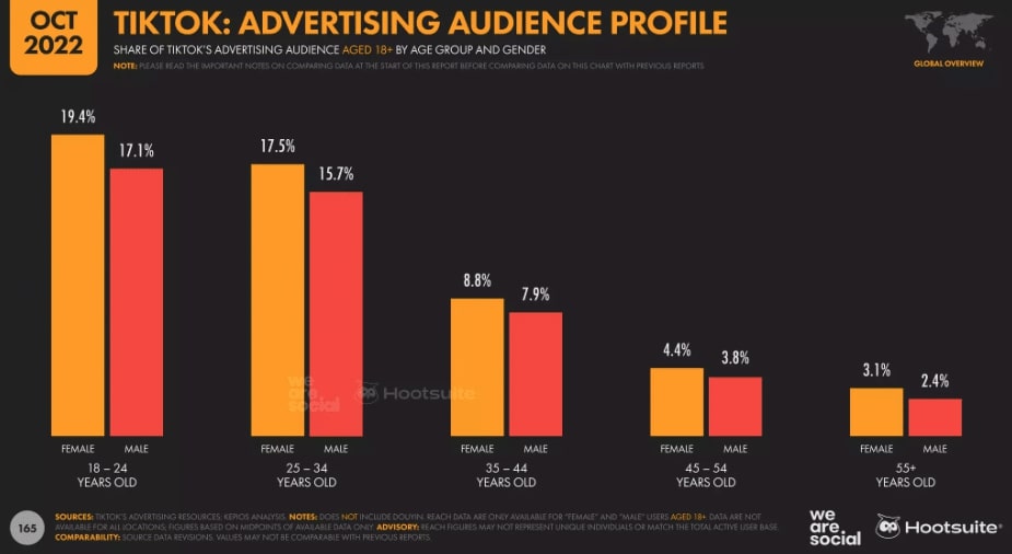 tiktok-advertising-audience-profile
